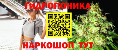 кокс Моздок