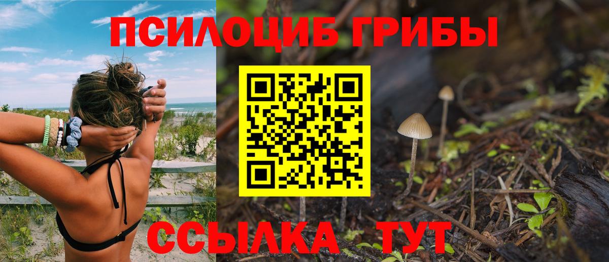 Псилоцибиновые грибы прущие грибы Славгород