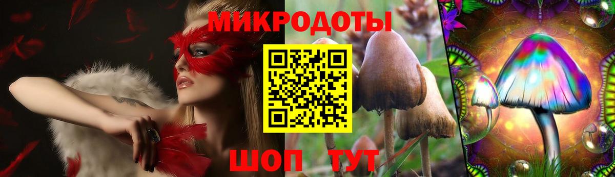 Славгород  Псилоцибиновые грибы мицелий  наркотики  Вход с VPN  Псилоцибиновые грибы мухоморы 